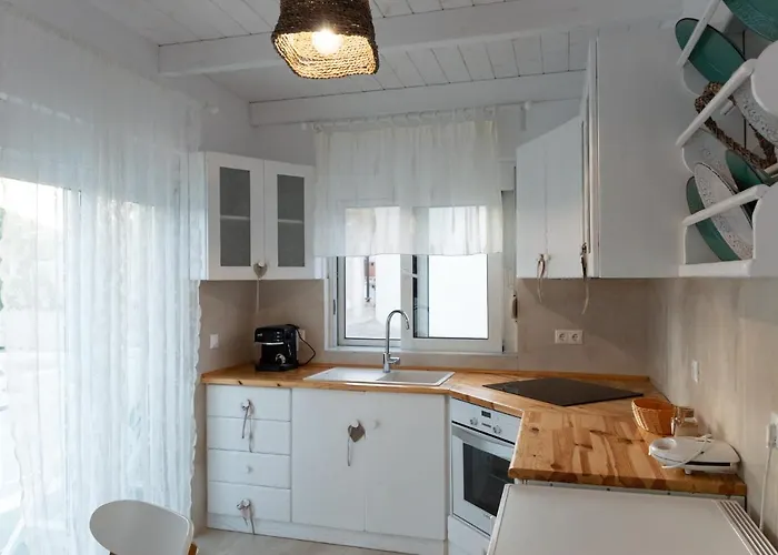 Seva's House Daire Psinthos